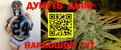 сатива Бузулук