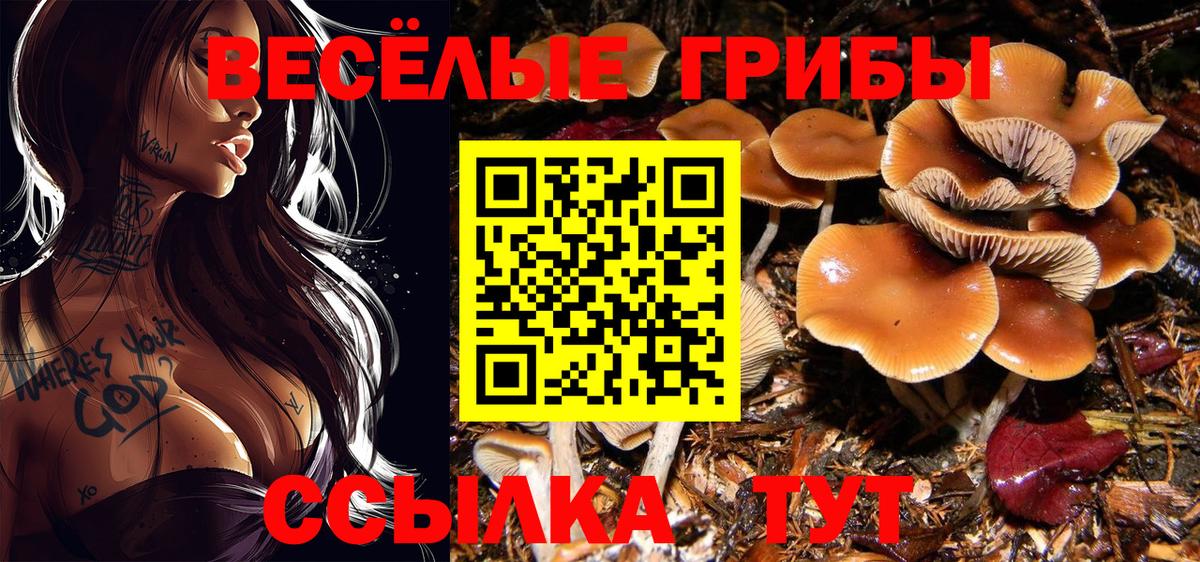 Тайшет  Галлюциногенные грибы GOLDEN TEACHER  Псилоцибиновые грибы мухоморы  Вход с VPN 