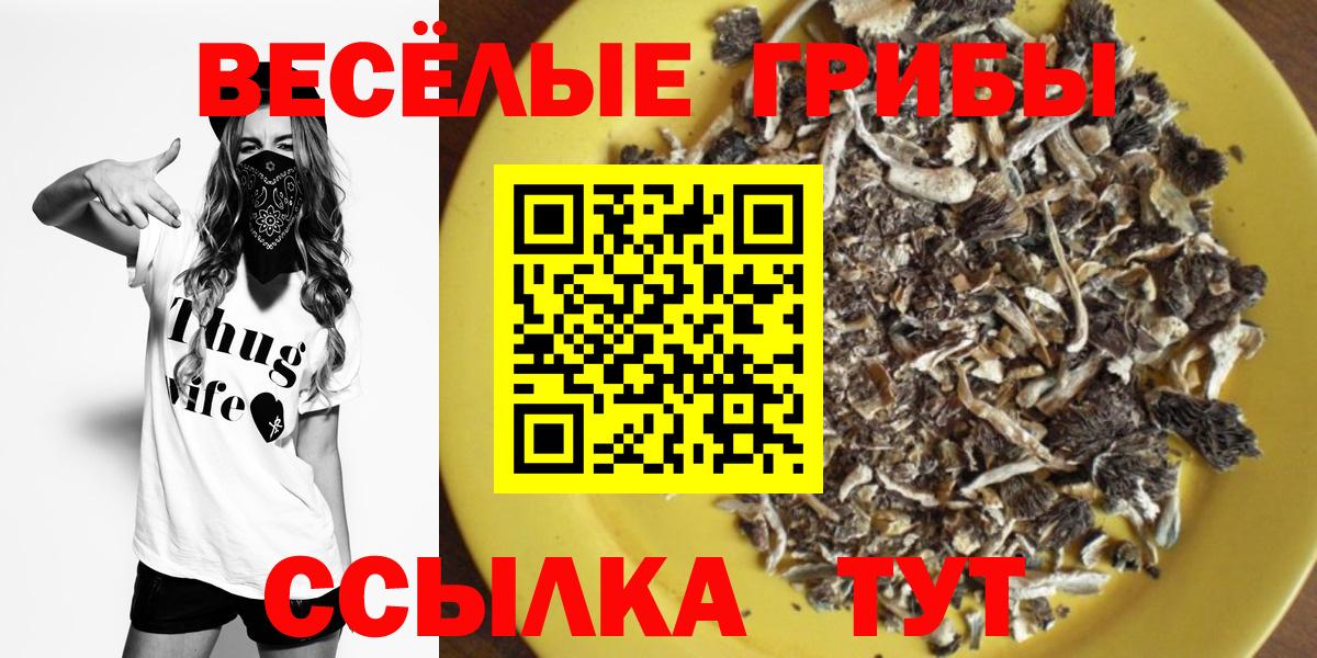Псилоцибиновые грибы мухоморы Тайшет